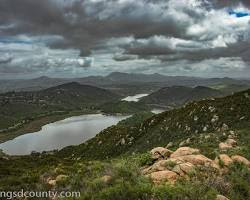 elfin-forest-2